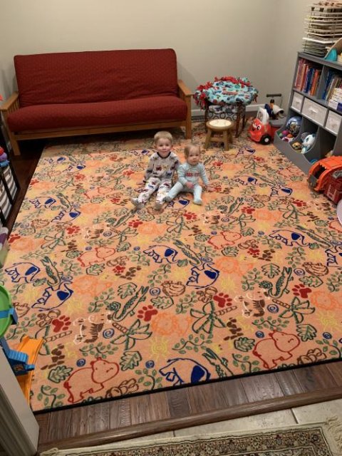 Animal Doodles Children's Rug Multi on Tan