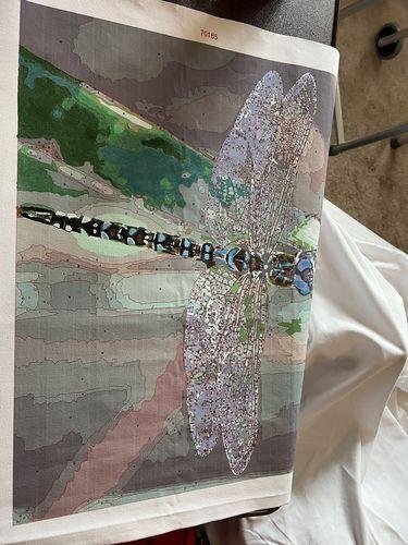 paint by numbers kit Colorful Dragonfly