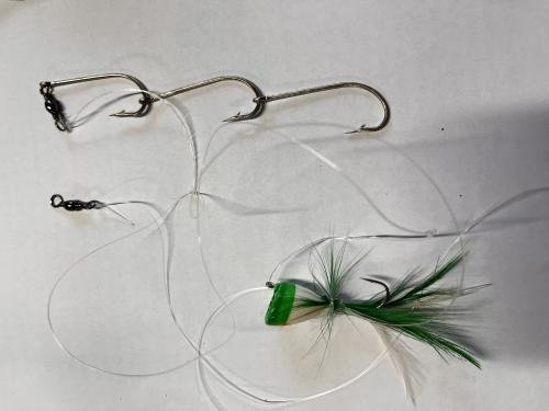 2 piece salt water fishing rod and reel combos Saltwater & Freshwater Fishing Rod & Reel Combos