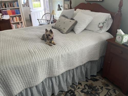 Farmstead Blue Ticking Stripe Bed Skirt