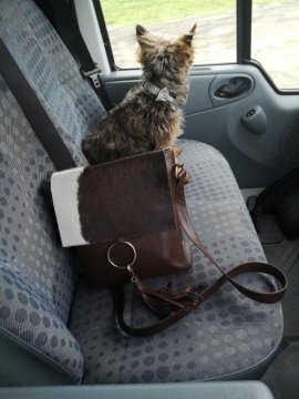 Furry Cowhide Satchel HandBag NZ | Furmoo – FURMOO Furry Cowhide Satchel HandBag NZ | Furmoo – FURMOO