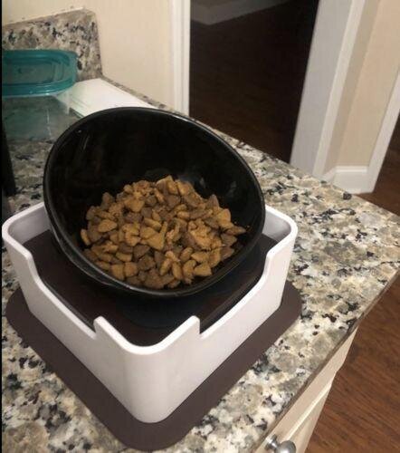 Ceramics Bowl for Frenchies (WS41)