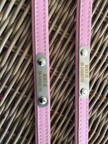 Custom  Frenchie Collar