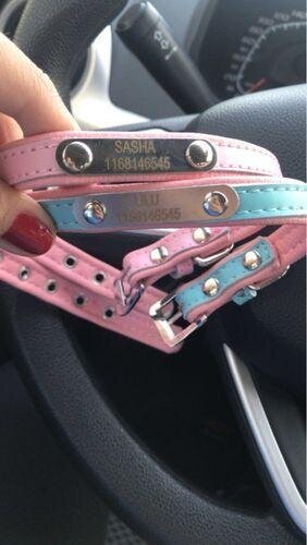 Custom  Frenchie Collar