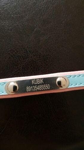 Custom  Frenchie Collar