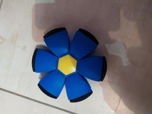 Frenlite - Frenchie Toy Ball with LED Light