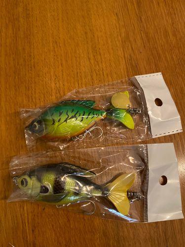 5pack of Amazing TailPopperX™ Fishing Lures – Legal Limit Bait Box