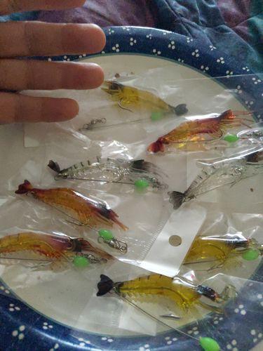 Maxbell 12pcs Soft Lures Shrimp Bait Set, Freshwater/ Saltwater