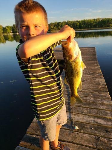 5pk of 7 Segment Lifelike Crankbaits