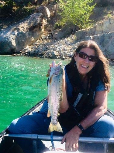 5pk of 7 Segment Lifelike Crankbaits