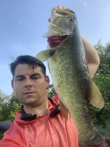 5pk of 7 Segment Lifelike Crankbaits