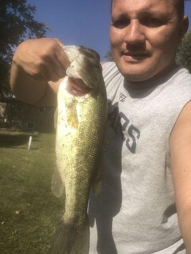 5pk of 7 Segment Lifelike Crankbaits