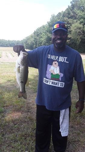 5pk of 7 Segment Lifelike Crankbaits