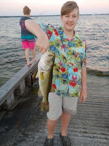 5pk of 7 Segment Lifelike Crankbaits