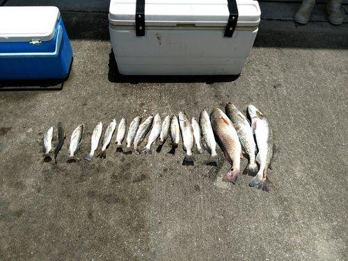 9pack - Amazing ShrimpBaitX™ Fishing Lures