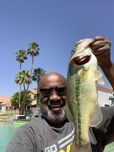 9pack - Amazing ShrimpBaitX™ Fishing Lures