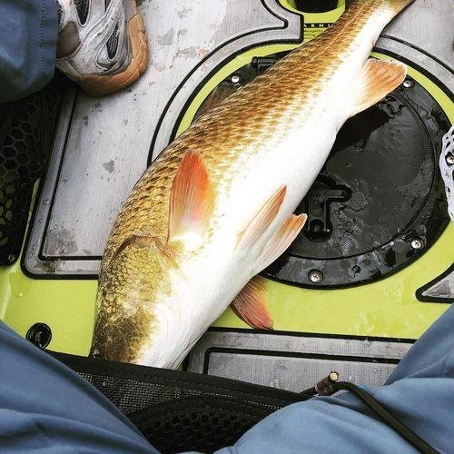 9pack - Amazing ShrimpBaitX™ Fishing Lures