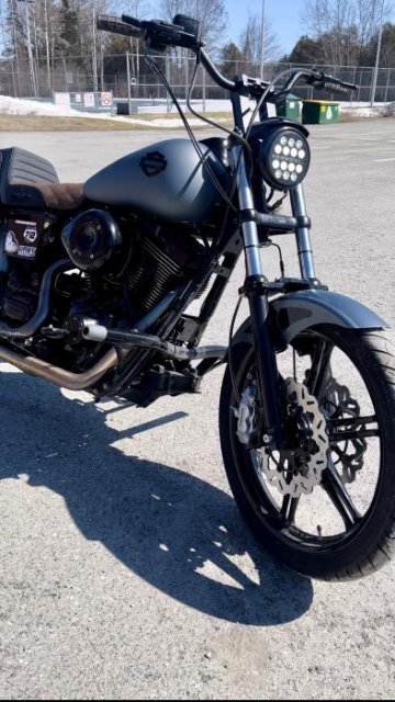 ガルファー Galfer 11.5 DF681CW-B-G ハーレー リヤ GALFER(ガルファー