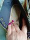 Bohemian Bliss Ankle Booties -  Hand-Made Round Toe Flat Shoes For Women