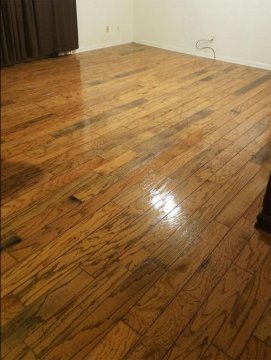 Crystal Coat Floor Rejuvenator review