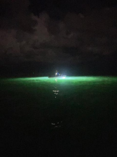 Swamp Eye® Submersible Flounder Gigging Light