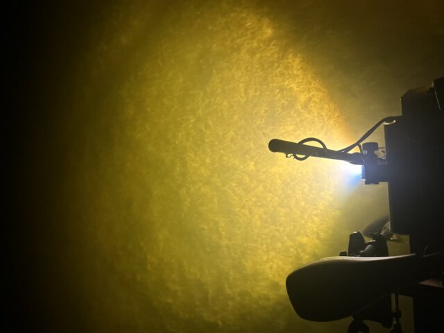 Swamp Eye® Submersible Flounder Gigging Light