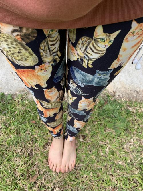 Cat Leggings for Women All Over Print Crazy Cat Lady Cat Tights