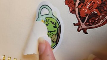 5x7" Froggy Reusable Sticker Book review