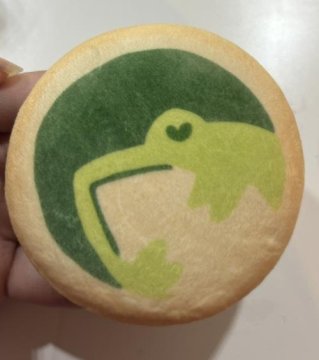 Frog and Beetle Holiday Plush Button Cookies review