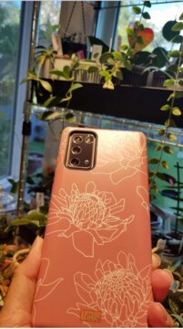 Torch Ginger - Samsung Note review