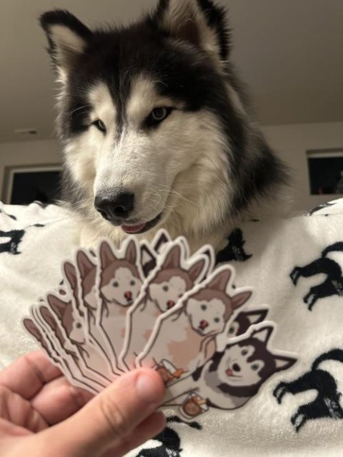 Camp Husky Old Fashioned Sticker