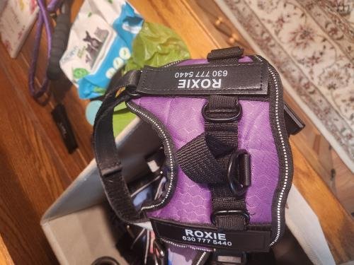 HarnessBuddy™ 2.0 Personalized Dog Harness