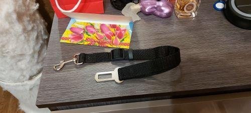HarnessBuddy™ Car Safety Strap