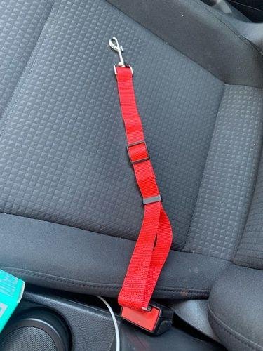HarnessBuddy™ Car Safety Strap