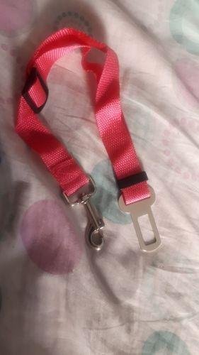 HarnessBuddy™ Car Safety Strap