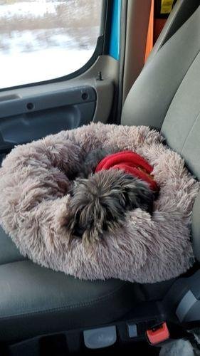 Premium Donut Dog Bed