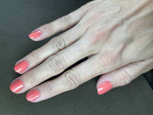 Theoretical | Coral Shimmer