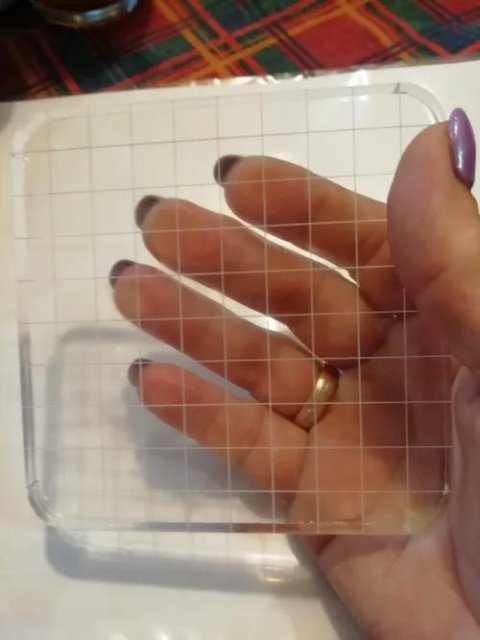 Poignée pour tampons en silicone transparent