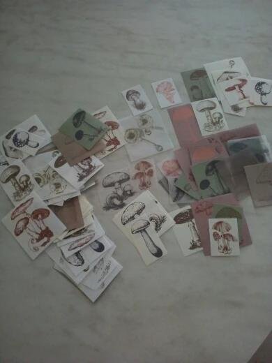 Retro Wild Paper