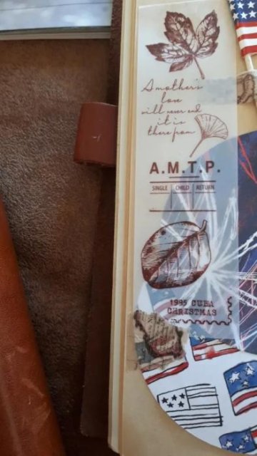30 Pcs Aesthetic Semi Transparent Bookmark Paper