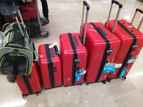 Set de 3 Valises Vert Pétrole