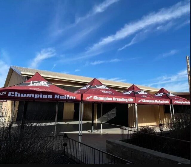 Custom Tents With Logo 10' x 10'