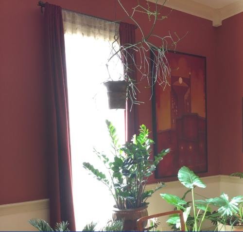 Velvet Curtains With Top Rod Pockets