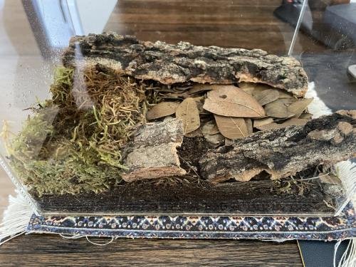 Isopod Terrarium Kit PRO - Small