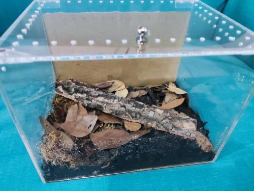 Isopod Terrarium Kit PRO - Small