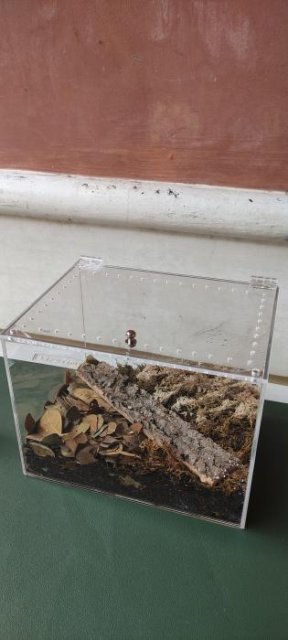 Isopod Terrarium Kit PRO - Small