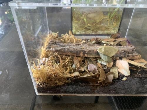 Isopod Terrarium Kit PRO - Small