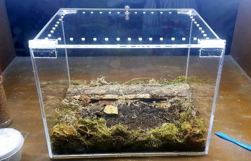 Isopod Terrarium Kit PRO - Small