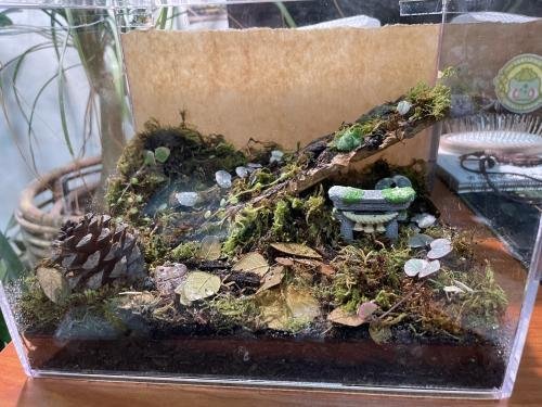 Isopod Terrarium Kit PRO - Small