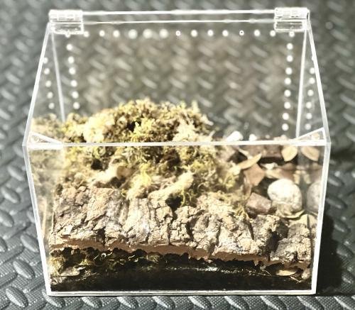 Isopod Terrarium Kit PRO - Small